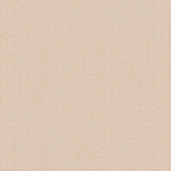 Обои Alessandro Allori Bruni