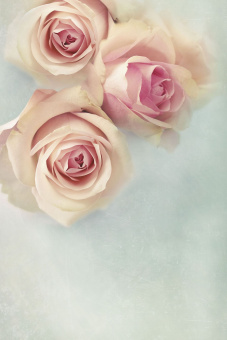 Фрески/Панно ORTOGRAF