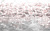 Обои My Fresco Природа