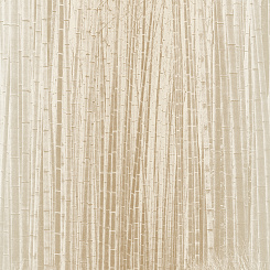 Фотообои Co.De MURALS DECOR