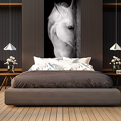 Обои Artmegahome Животные