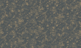 Обои Bruno Zoff Platinum