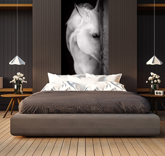 Фотообои Artmegahome Животные