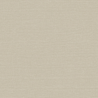 Обои Architector Parisienne