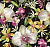 Обои Wallquest English Garden