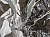 Фотообои Wall Street Calligraffiti