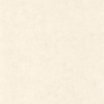 Обои Caselio Beton 2