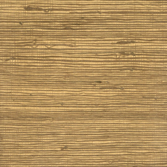 Обои Yate Into the Wild