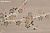 Обои Fromental Modern Chinois