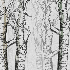  Обои Skinwall Contemporary Collection