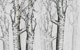  Обои Skinwall Contemporary Collection