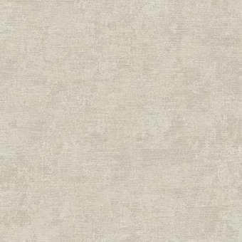 Обои Alessandro Allori Giorgio