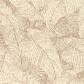 Обои Rasch  Amara