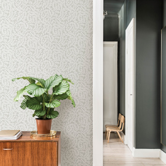 Обои A-Street Prints Botanica