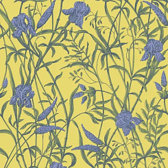 Обои Cole & Son Classics Collection Vol.II Обои Cole & Son Classics Collection Vol.II