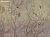 Фотообои Wall Street Arbre