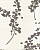 Обои Casamance Sakura