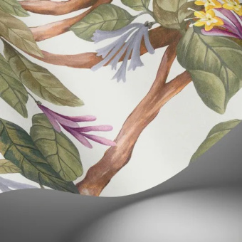 Обои Cole & Son Selection of Hummingbirds