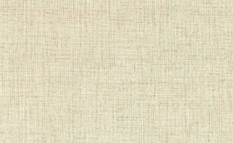 Обои Clarke & Clarke Expressions Performans