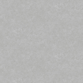 Обои Rasch Modern House