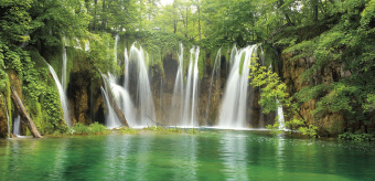 Фрески/Панно ORTOGRAF