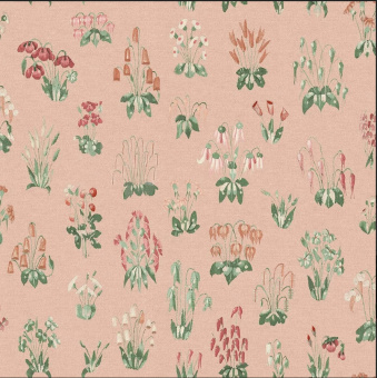 Обои Little Greene National Trust Papers 2