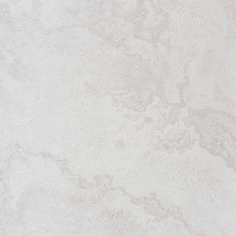 Обои Alessandro Allori Bodega