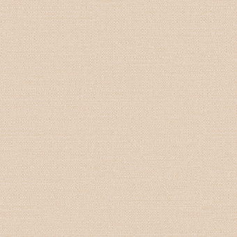 Обои Alessandro Allori Bruni