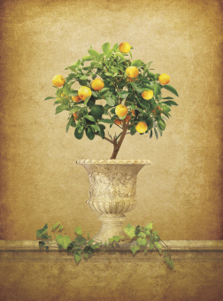 Фрески/Панно ORTOGRAF Натюрморт