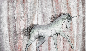  Обои Skinwall Contemporary Collection