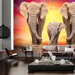 Обои Artmegahome Животные