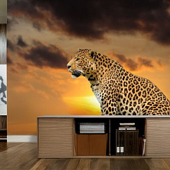 Обои Artmegahome Животные