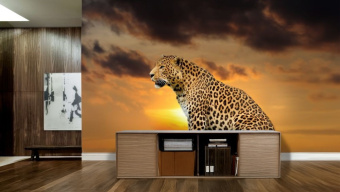 Фотообои Artmegahome Животные