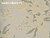 Обои Print 4 Tendence
