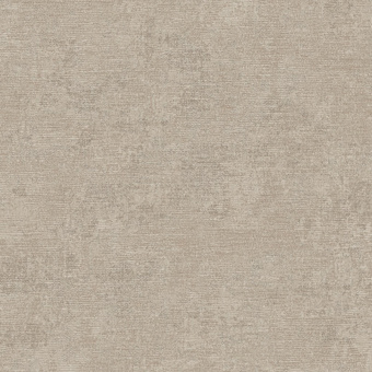 Обои Alessandro Allori Giorgio