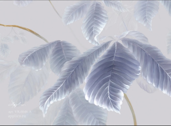 Фрески/Панно Applico