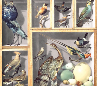 Фрески/Панно Loymina Illusion 2