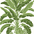 Обои Thibaut Palm Grove