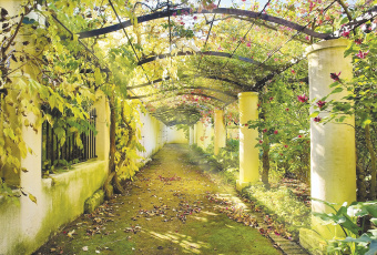 Фрески/Панно ORTOGRAF Парки и Сады