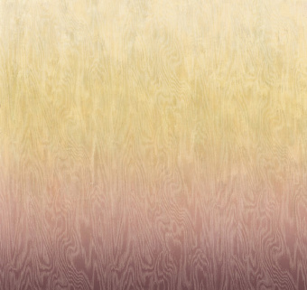 Обои Khroma Wall Designs IV