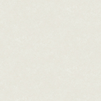 Обои Rasch Modern House