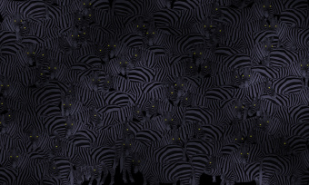  Обои Skinwall Contemporary Collection