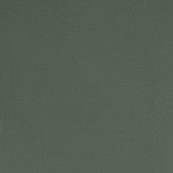 Обои Alessandro Allori Rebecca