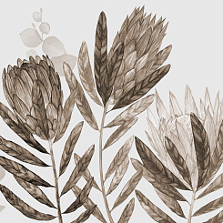 Фотообои Wall Street HERBARIUM