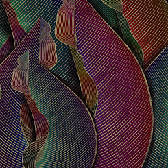  Обои Skinwall Contemporary Collection