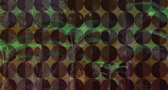 Фотообои My Fresco Узоры и фоны