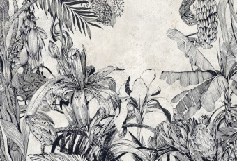 Фотообои My Fresco Природа