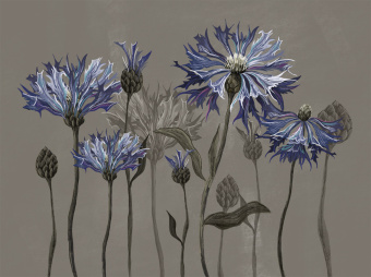 Фотообои Wall Street SUMMERTIME