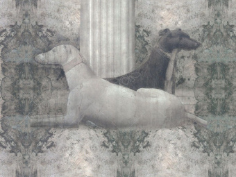 Фотообои My Fresco Животные и птицы