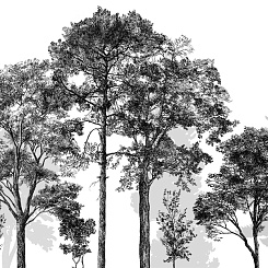 Фотообои Craft Design Lab Креатив